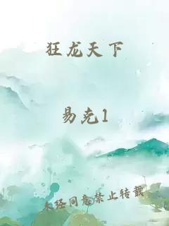 狂龙天下