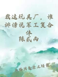 我这玩具厂，谁诽谤说军工复合体